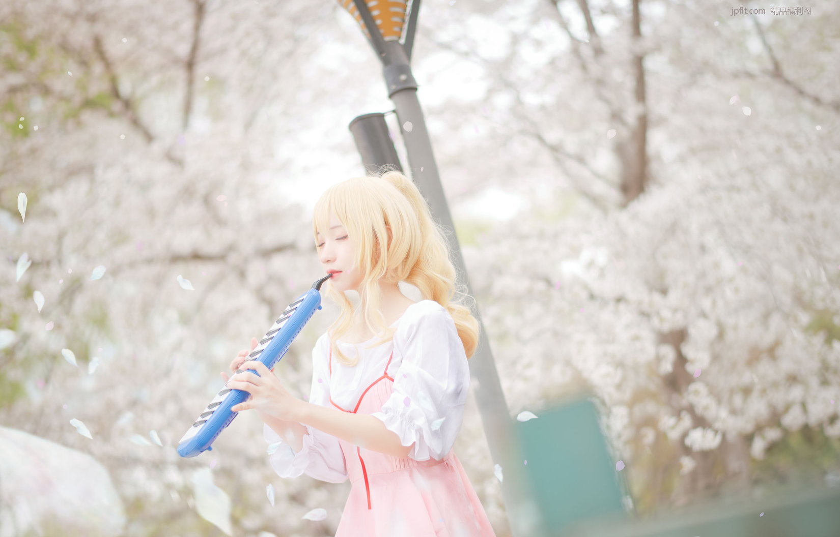 ԰Ѭȹ/9P ] Hana [Coser P.1 