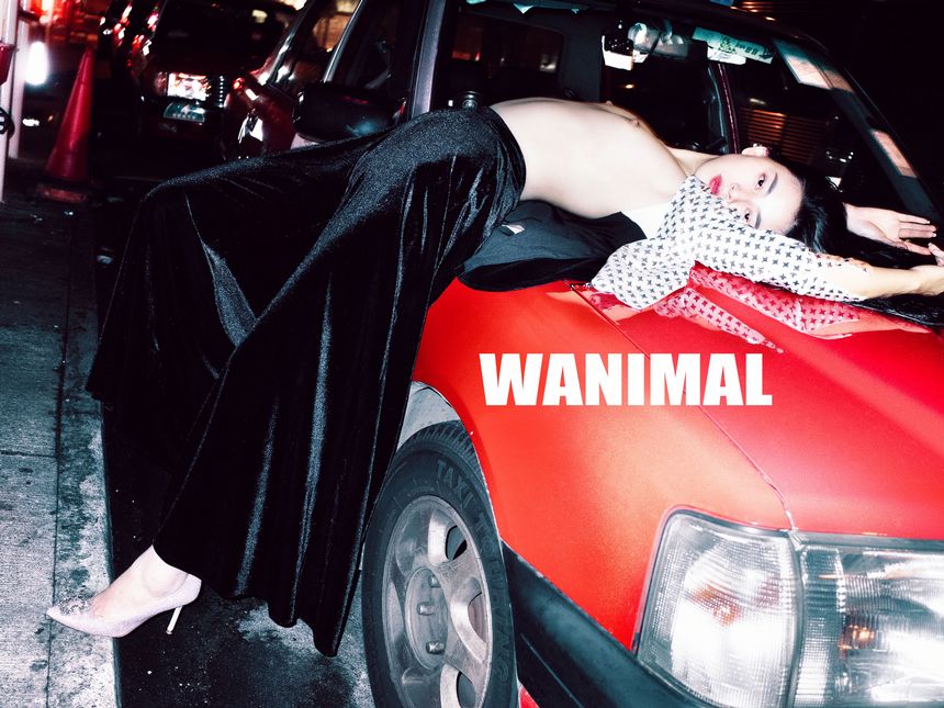 183VIP [75P] () ͼ WANIMALٷƷ ڵ P.1 