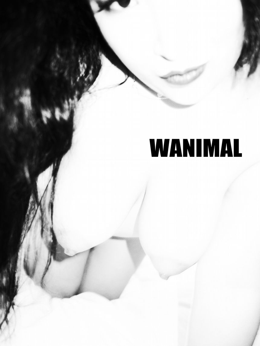 183VIP ͼ [75P] () WANIMALٷƷ ڵ P.3