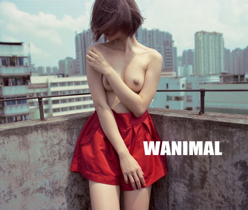 ͼ WANIMALƷ (ʮ) [109P] ڹ P.3