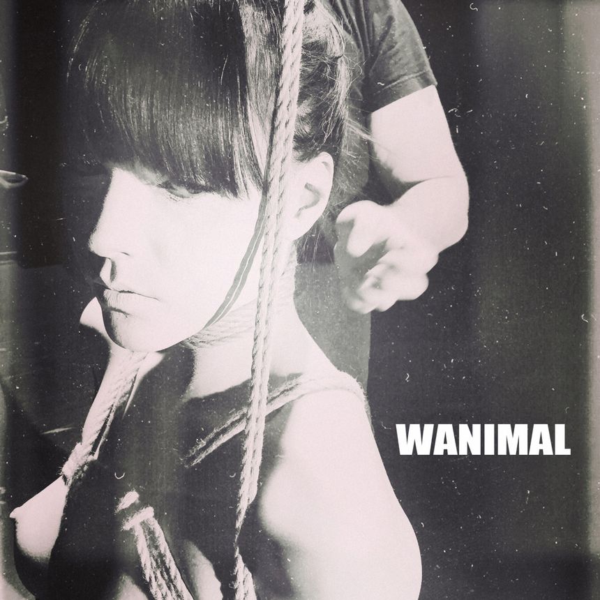 (ʮ) ʥ ͼ WANIMALƷ [64P] P.6